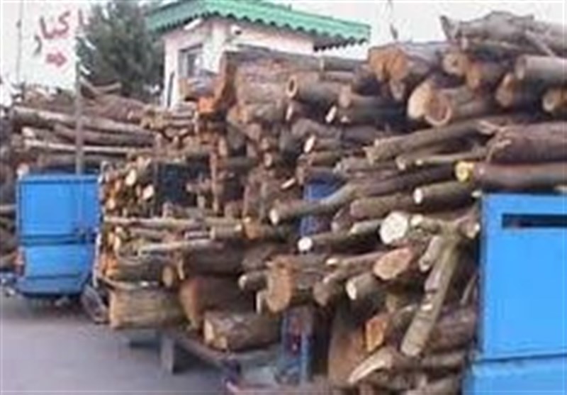 توقیف چوب قاچاق به ارزش 3 میلیارد ریال