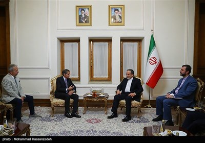 المدير العام للوكالة الدولية للطاقة الذرية يلتقي وزير الخارجية الإيراني