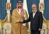 دیدار وزیر دفاع عربستان با دبیر شورای عالی امنیت ملی