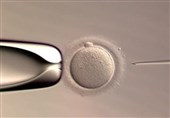 نخستین نوزاد متولد شده با سیستم هوش مصنوعی در IVF دنیا آمد
