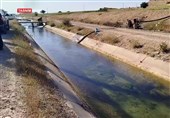 گچساران در آستانه تحول کشاورزی