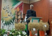 80 درصد از اراضی گندم استان مرکزی دیم است