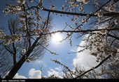 Весенняя природа Ирана - Хамадан