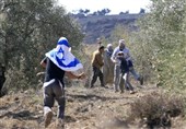 מתנחלים ישראלים בלתי חוקיים תוקפים חקלאים פלסטינים במרכז הגדה המערבית הכבושה
