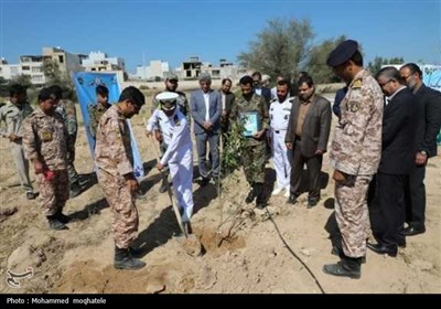 تجلیل از بازماندگان ناو جوشن در بوشهر