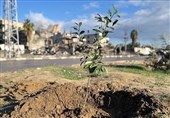 Armed Israeli Settlers Raid West Bank Village, Vandalize Palestinian Property