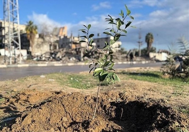 Armed Israeli Settlers Raid West Bank Village, Vandalize Palestinian Property
