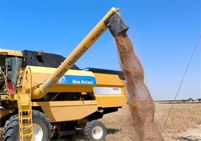 استان،گندم،تضميني،خريد،كرمانشاه،عمليات،مركز،آغاز