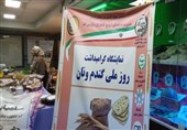 پیشبینی خرید 400 هزار تن گندم از کشاورزان در اردبیل