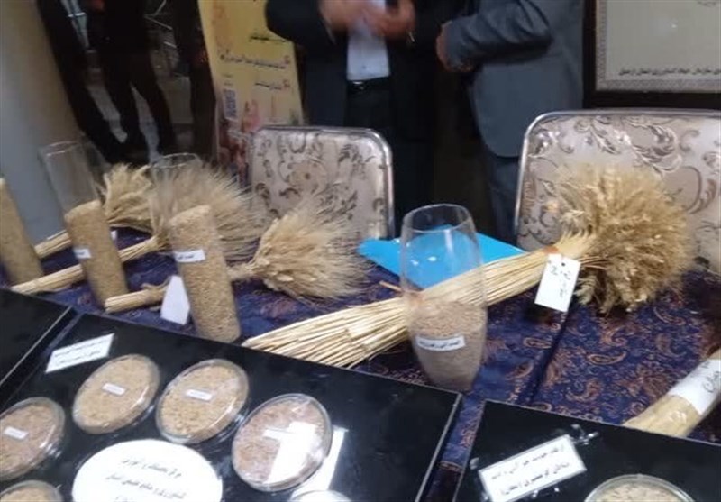 کشاورزی , 
