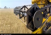 درخواست کشاورزان برای افزایش 4 هزار تومانی نرخ خرید گندم