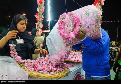 جشنواره گلاب و گلابگیری در پارک پرواز