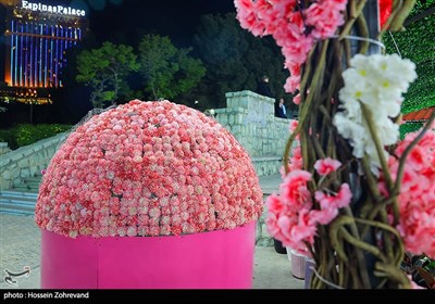 جشنواره گلاب و گلابگیری در پارک پرواز