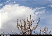 طبیعت بهاری ابهر - زنجان