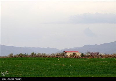 طبیعت بهاری ابهر - زنجان