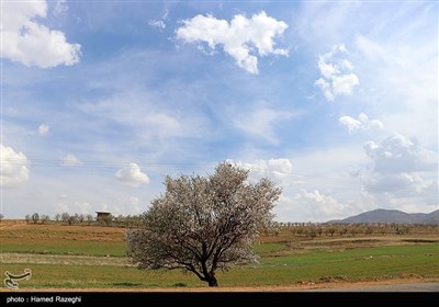 Весенняя природа Ирана - Зенджан
