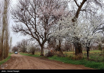 Весенняя природа Ирана - Зенджан