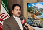 توسعه صنایع دستی در ایلام و نیاز به بازارچههای دائمی