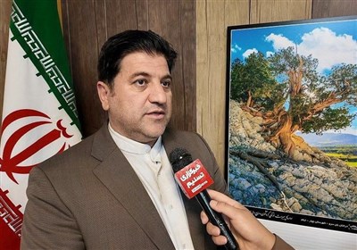 توسعه صنایع دستی در ایلام و نیاز به بازارچههای دائمی