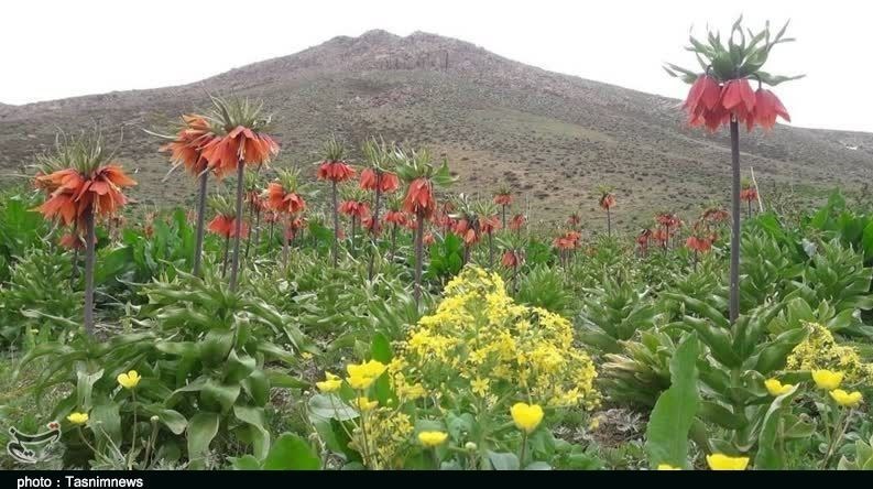 استان لرستان , میراث فرهنگی و گردشگری , گردشگری , وزارت میراث فرهنگی، گردشگری و صنایع دستی , 