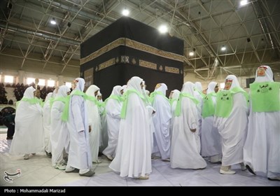 همایش آموزشی و توجیهی حج تمتع - قم