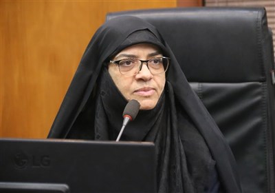 واکنش شورای شهر به حرمت‌شکنی فستیوال کوچه بوشهر