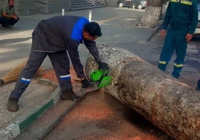 بسطام،محور،رفع،جلسه،رئيس،تسنيم،مجن،شاهرود،تصادف،درختان،مقرر، ...