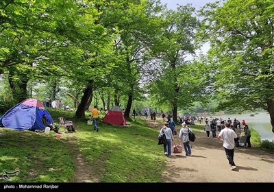 جشنواره بزرگ ماهیگیری خانوادگی در روستای حلیمه جان رودبار
