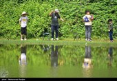 جشنواره بزرگ ماهیگیری خانوادگی در روستای حلیمه جان رودبار
