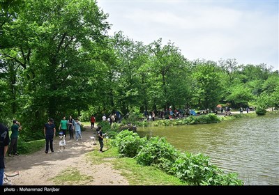 جشنواره بزرگ ماهیگیری خانوادگی در روستای حلیمه جان رودبار
