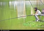 جشنواره بزرگ ماهیگیری خانوادگی در روستای حلیمه جان رودبار