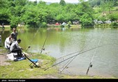 جشنواره بزرگ ماهیگیری خانوادگی در روستای حلیمه جان رودبار