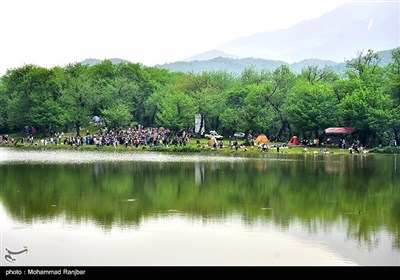 جشنواره بزرگ ماهیگیری خانوادگی در روستای حلیمه جان رودبار