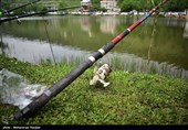 جشنواره بزرگ ماهیگیری خانوادگی در روستای حلیمه جان رودبار