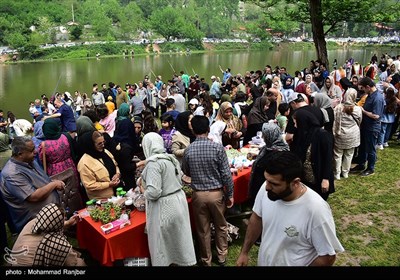 جشنواره بزرگ ماهیگیری خانوادگی در روستای حلیمه جان رودبار