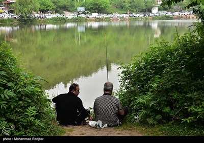 جشنواره بزرگ ماهیگیری خانوادگی در روستای حلیمه جان رودبار