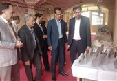 برگزاری نمایشگاه صنایعدستی در صحرای طبس