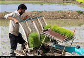 «آنتی‌تحریم» ــ 1|40 ظرفیت بی‌نظیر توسعه کشاورزی ایران