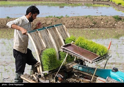 ايران،توليد،كشاورزي،توسعه،كشور،صادرات،ظرفيت،هكتار،تن،دلار،كش ...