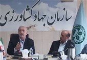 هسته اجرایی کشت و صنعت به بخش خصوصی واگذار شود