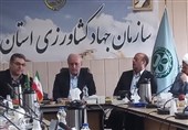 شهرکهای کشاورزی 10 هزار فرصت شغلی در اردبیل ایجاد کرده است