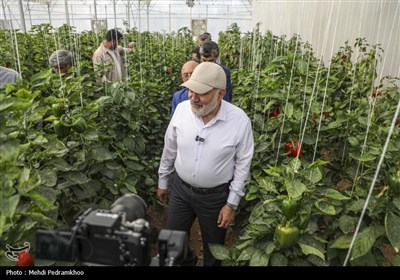 سفر سه‌روزه استاندار خوزستان با هدف بررسی میدانی مشکلات استان