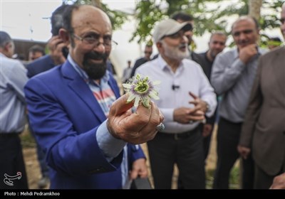 سفر سه‌روزه استاندار خوزستان با هدف بررسی میدانی مشکلات استان