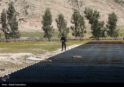 سفر سه‌روزه استاندار خوزستان با هدف بررسی میدانی مشکلات استان