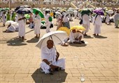 بازدید انجمن گردشگری مصر از عربستان صعودی