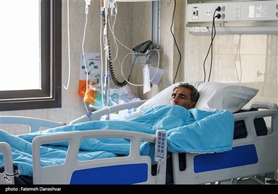 هرمزگان،بهداشت،علوم،پزشكي،50،حادثه،دانشگاه،رئيس،ترخيص،سوختگي ...