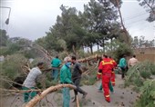 وقوع طوفان شدید همراه با گردوخاک در گناباد+عکس