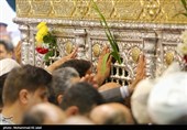 قم در آغوش نور؛ میلاد حضرت معصومه(س) در آیینه شور و شعف+عکس