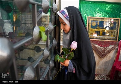 شادپیمایی دختران احمدی در شیراز برگزار شد