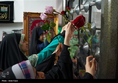 شادپیمایی دختران احمدی در شیراز برگزار شد